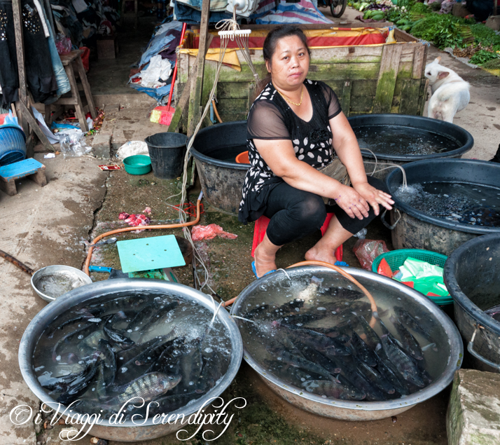 Luang Prabang Mercato Phousi pesci