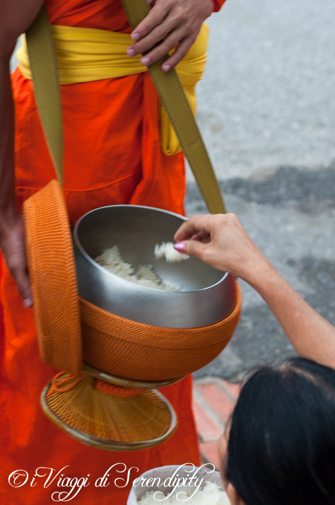 Processione delle Elemosine Tak Bat Luang Prabang offerta