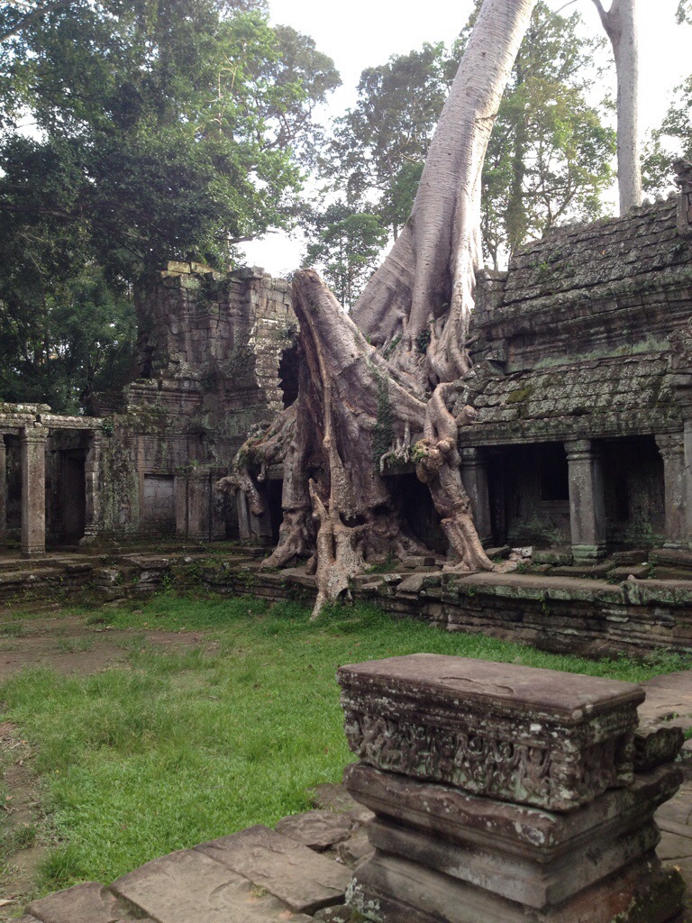 Angkor wat