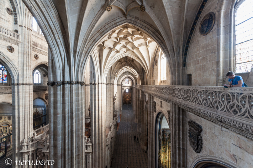 L'interno della Cattedrale di Salamanca - Vista dall'alto
