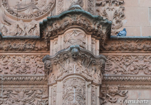 Dove si trova la rana porta fortuna?