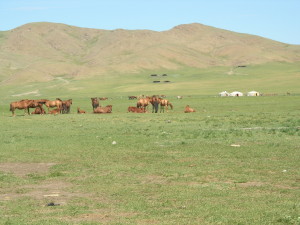 Villaggio Mongolo