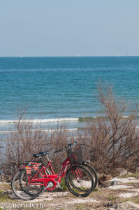 Pellestrina by bike