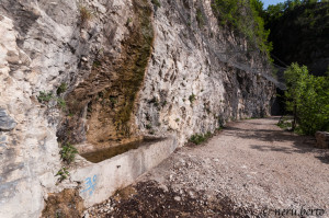 Fontana Forte Pozzacchio