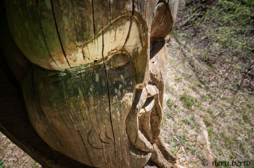 sentiero gnomi trentino