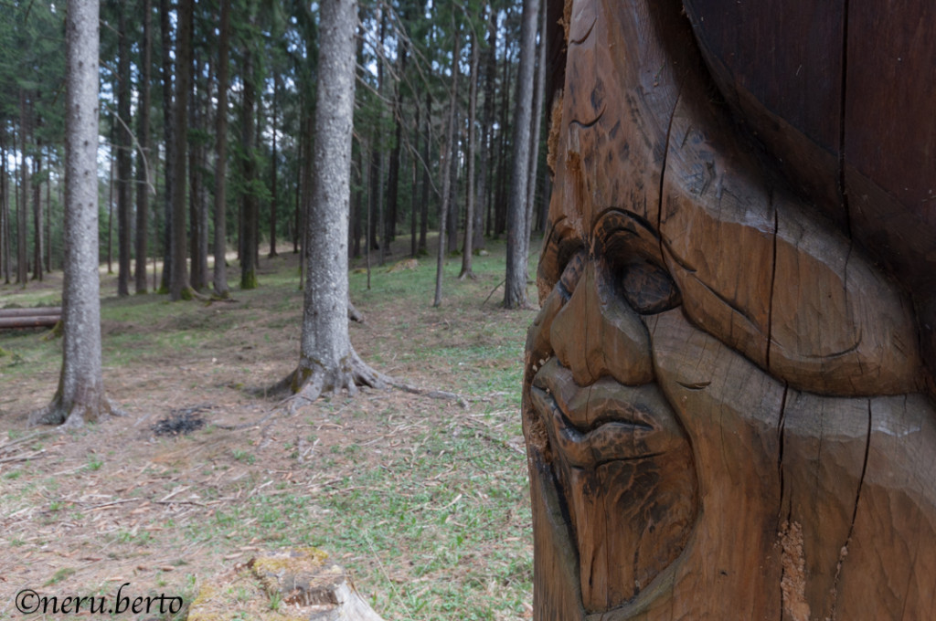 sentiero gnomi trentino