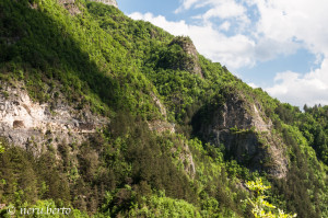 natura al Forte Pozzacchio