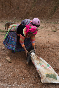 Coc Ly acquisto maiale