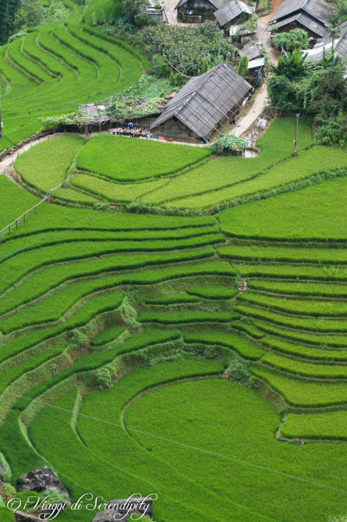 Trekking a Sapa risaie a terrazza
