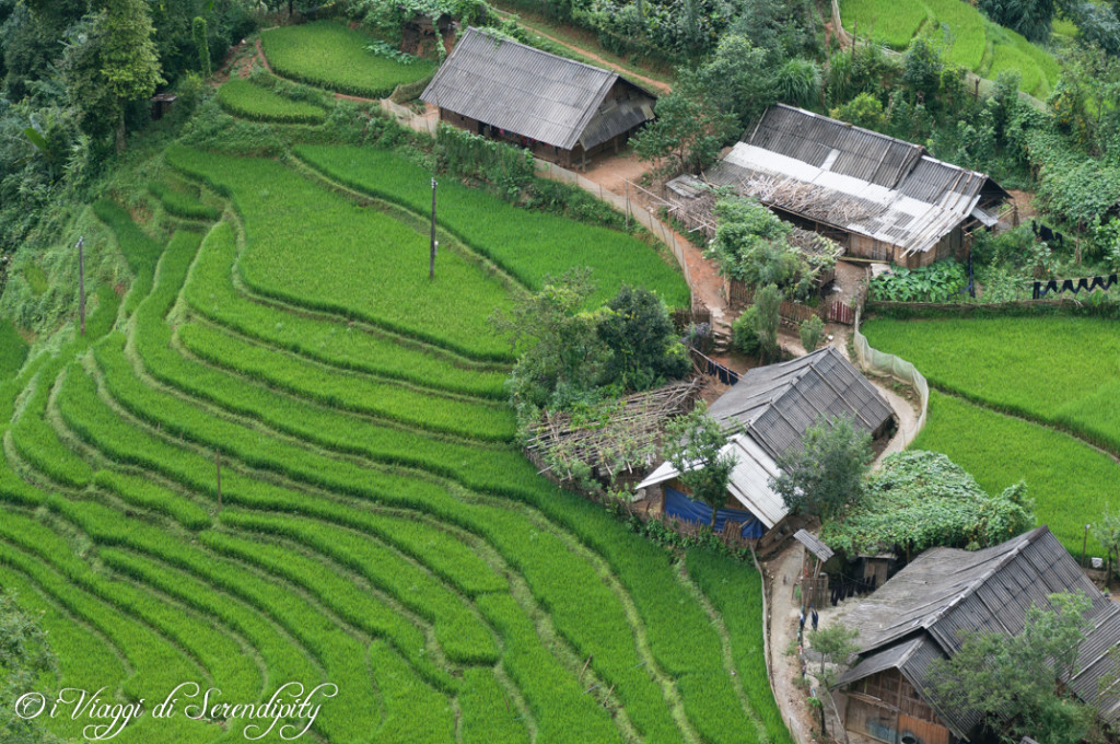 Trekking a Sapa - risaie a terrazza