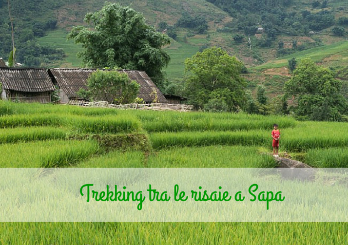 Trekking tra le risaie di Sapa
