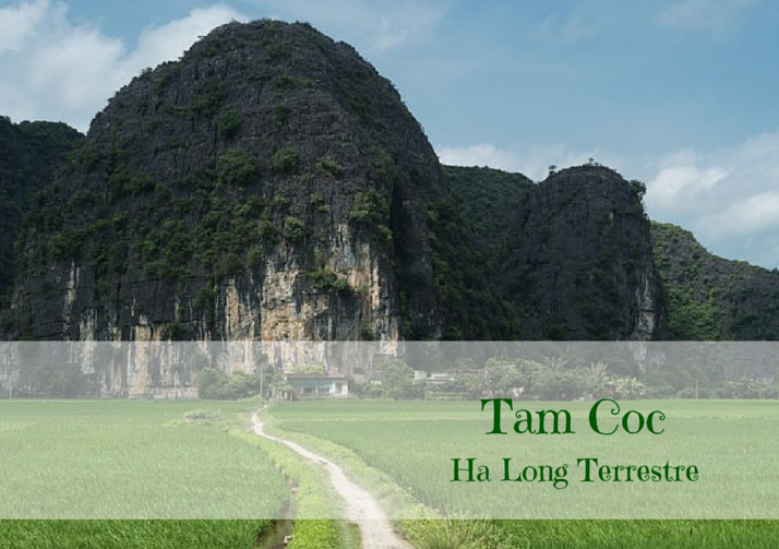 Tam Coc Ha Long Terrestre