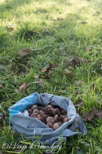 Castione di Brentonico Noci