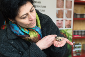 Il recinto azienda agricola Irena