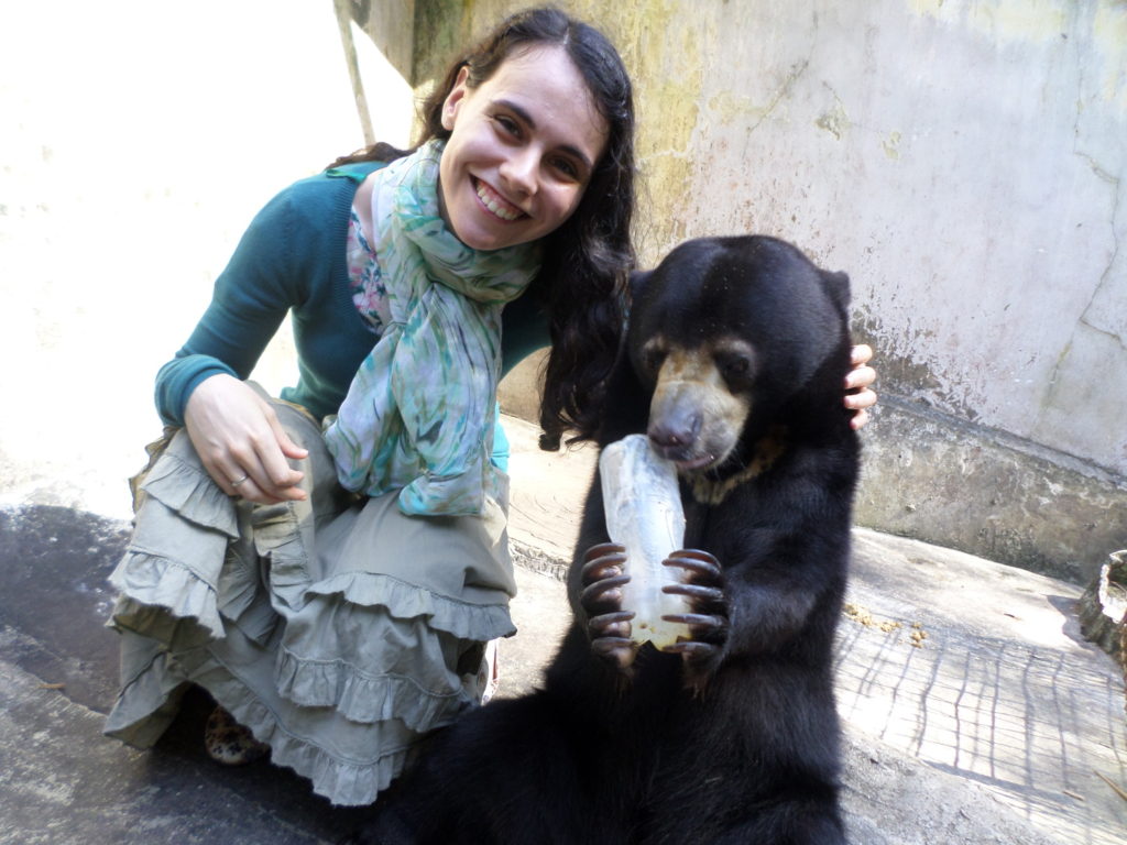 Orsetto del Miele Indonesia